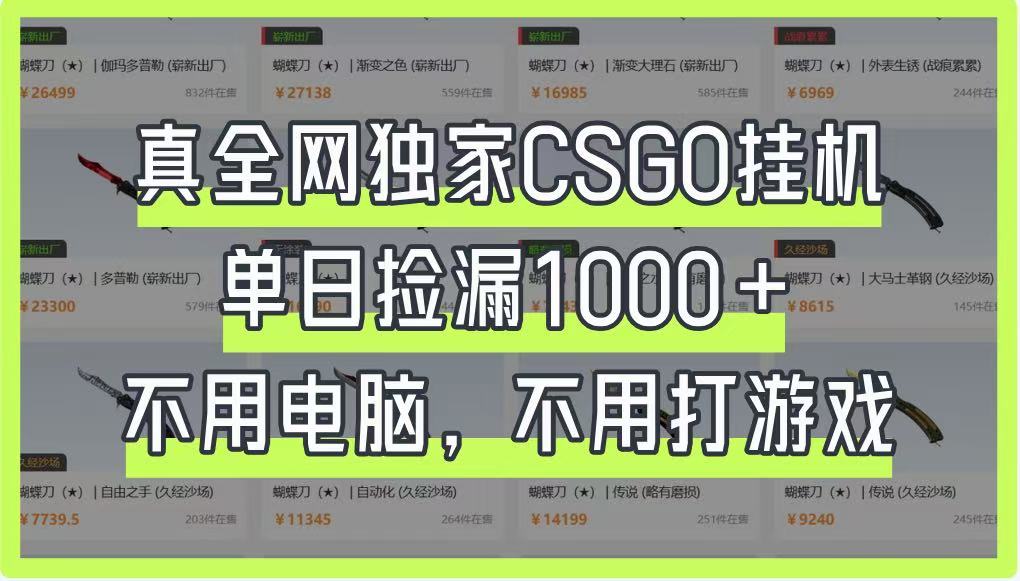 真全网独家CSGO挂机，单日捡漏1000+，不用电脑，不用养号-菜菜网创