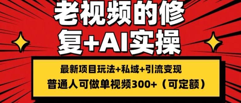 修复老视频的玩法，搬砖+引流的变现(可持久)，单条收益300+【揭秘】-菜菜网创