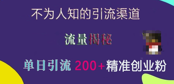 不为人知的引流渠道，流量揭秘，实测单日引流200+精准创业粉【揭秘】-菜菜网创