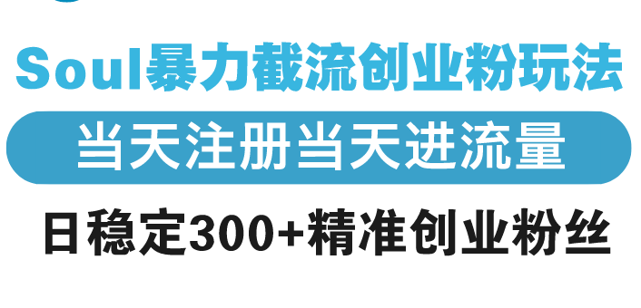 Soul暴力截流创业粉玩法，当天注册当天进流量，日稳定300+精准创业粉丝-菜菜网创
