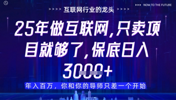 什么！25年你还在找项目做？风口早就变了，卖项目才是稳挣不赔【揭秘】-菜菜网创
