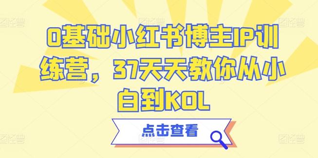 0基础小红书博主IP训练营，37天天教你从小白到KOL-菜菜网创