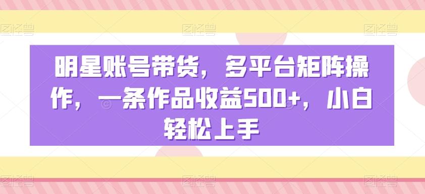 明星账号带货，多平台矩阵操作，一条作品收益500+，小白轻松上手【揭秘】-菜菜网创