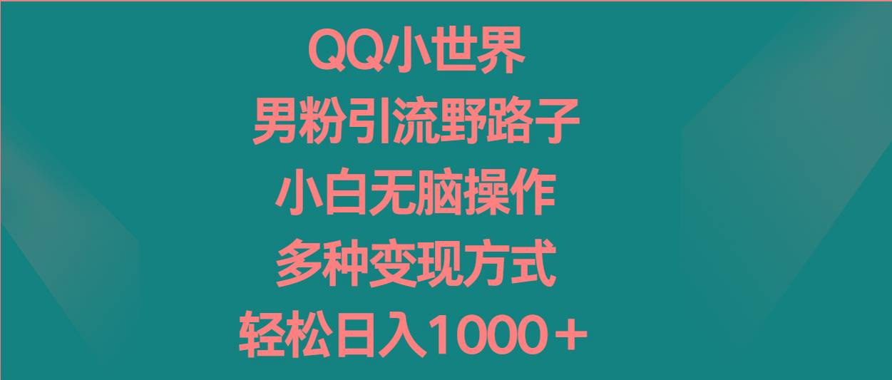 QQ小世界男粉引流野路子，小白无脑操作，多种变现方式轻松日入1000＋-菜菜网创