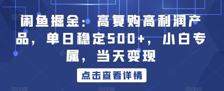 闲鱼掘金：高复购高利润产品，单日稳定500+，小白专属，当天变现-菜菜网创