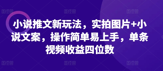 小说推文新玩法，实拍图片+小说文案，操作简单易上手，单条视频收益四位数-菜菜网创