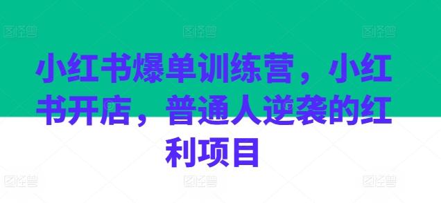小红书爆单训练营，小红书开店，普通人逆袭的红利项目-菜菜网创