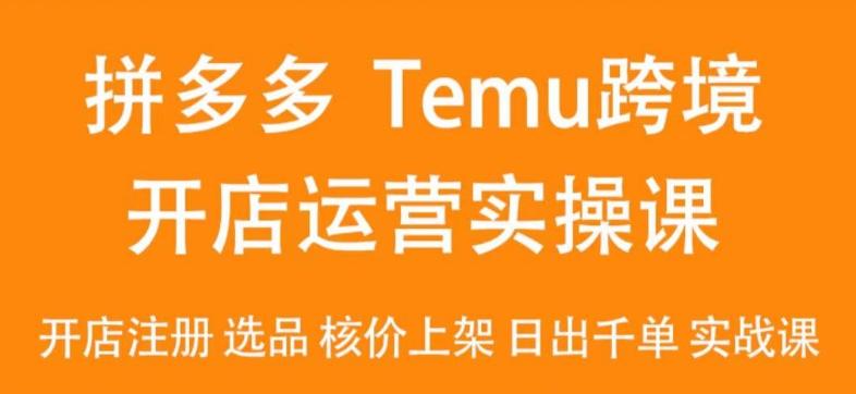 2024Temu最新玩法，Temu跨境开店运营实操课，开店注册/选品/核价上架/日出千单实战课-菜菜网创