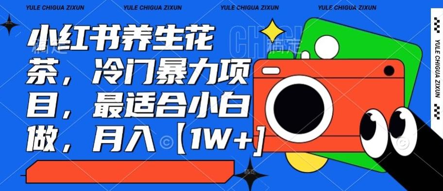 小红书养生花茶，冷门暴力项目，最适合小白做，月入【1W+】-菜菜网创