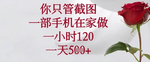 你只管截图，一部手机在家做，苹果安卓都可以，一小时120，一天5张+【揭秘】-菜菜网创