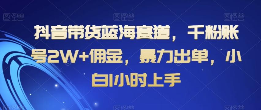 抖音带货蓝海赛道，千粉账号2W+佣金，暴力出单，小白1小时上手【揭秘】-菜菜网创