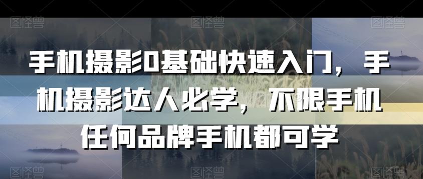 手机摄影0基础快速入门，手机摄影达人必学，不限手机任何品牌手机都可学-菜菜网创