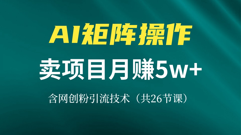 网创IP打造课，借助AI卖项目月赚5万+，含引流技术(共26节课-菜菜网创