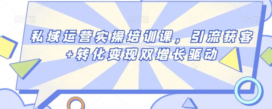 私域运营实操培训课，引流获客+转化变现双增长驱动-菜菜网创