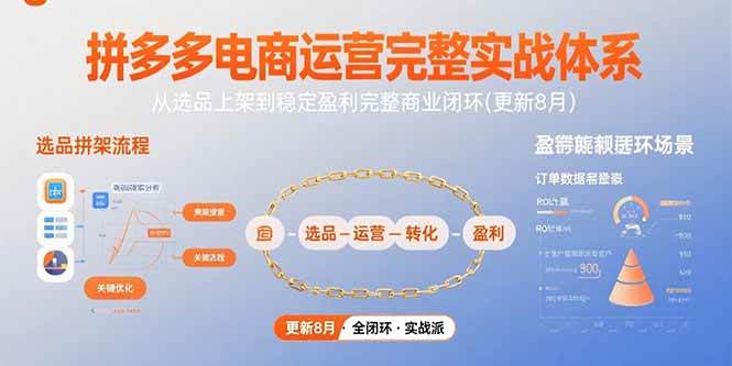 （15579期）拼多多电商运营完整实战体系，从选品上架到稳定盈利完整商业闭环(更新8月)-菜菜网创