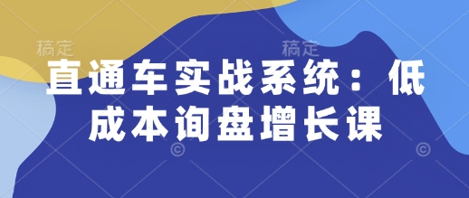 直通车实战系统：低成本询盘增长课，让个人通过技能实现升职加薪，让企业低成本获客，订单源源不断-菜菜网创