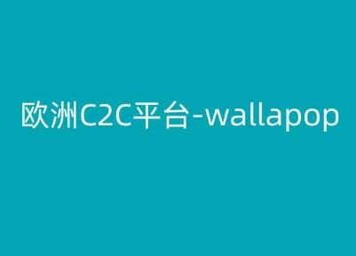 欧洲C2C平台-wallapop-kim跨境电商教程-菜菜网创