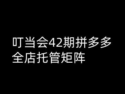 叮当会拼多多打爆班原创高阶技术第42期，拼多多全店托管矩阵-菜菜网创