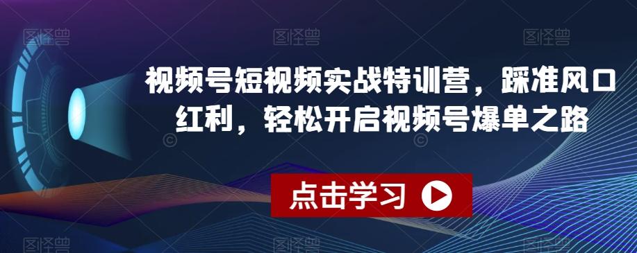 视频号短视频实战特训营，踩准风口红利，轻松开启视频号爆单之路-菜菜网创