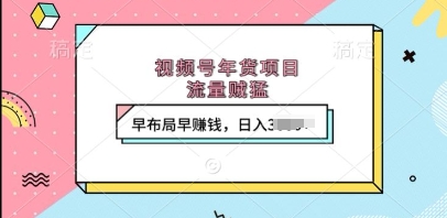 视频号年货项目，流量贼猛，早布局早挣钱，日入上k【揭秘】-菜菜网创