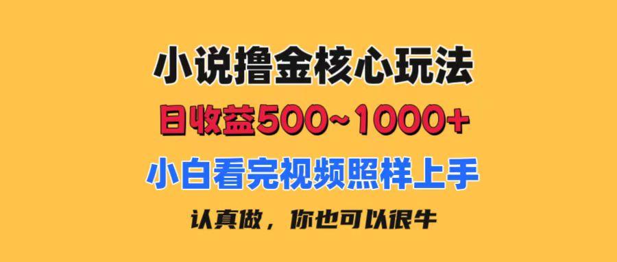 小说撸金核心玩法，日收益500-1000+，小白看完照样上手，0成本有手就行-菜菜网创