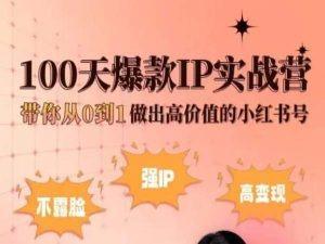 小红书100天爆款IP实战营，带你从0到1做出高价值的小红书号-菜菜网创