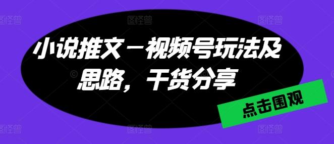小说推文—视频号玩法及思路，干货分享-菜菜网创