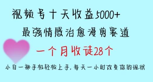 十天收益5000+，多平台捞金，视频号情感治愈漫剪，一个月收徒28个，小白一部手机轻松上手【揭秘】-菜菜网创
