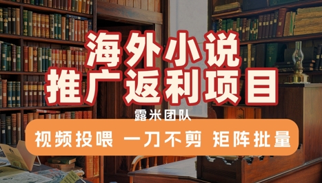 海外小说推广返利项目，视频投喂， 一刀不剪，矩阵批量-菜菜网创