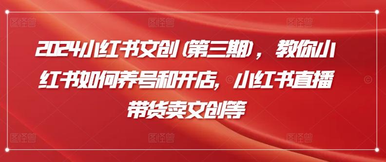 2024小红书文创(第三期)，教你小红书如何养号和开店，小红书直播带货卖文创等-菜菜网创