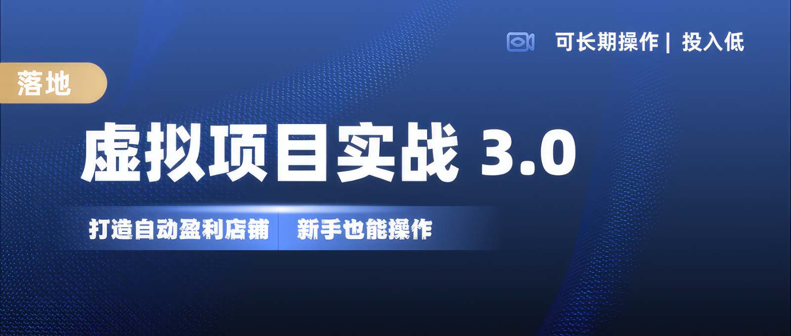 虚拟项目实操落地 3.0,新手轻松上手，单品月入1W+-菜菜网创