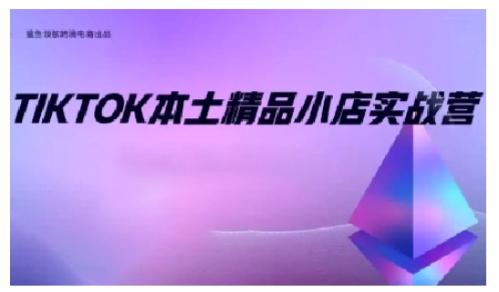 TikTok本土精品小店出海实战营，从入门到高阶，不止0-1!-菜菜网创