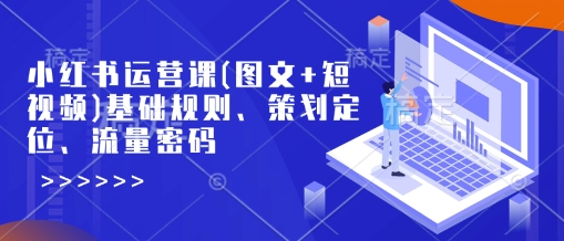 小红书运营课(图文+短视频)基础规则、策划定位、流量密码-菜菜网创