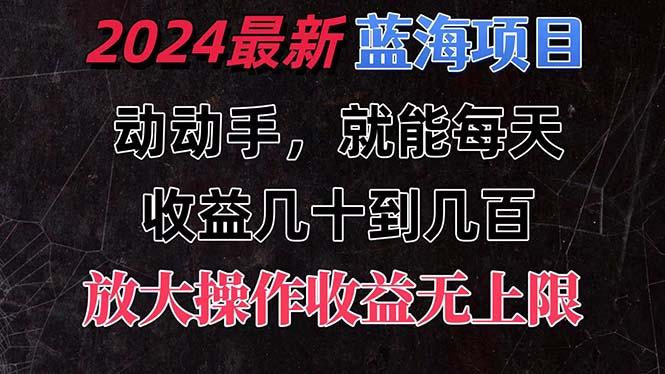 有手就行的2024全新蓝海项目，每天1小时收益几十到几百，可放大操作收…-菜菜网创