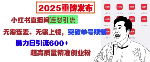 2025重磅发布：小红书直播间连怼引流，无需连麦、无需上镜，突破单号限制，暴力日引流600+-菜菜网创