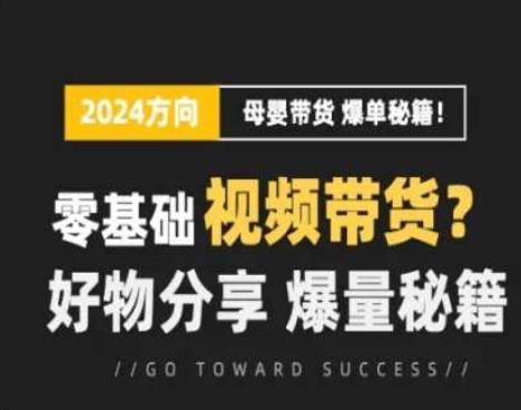 短视频母婴赛道实操流量训练营，零基础视频带货，好物分享，爆量秘籍-菜菜网创