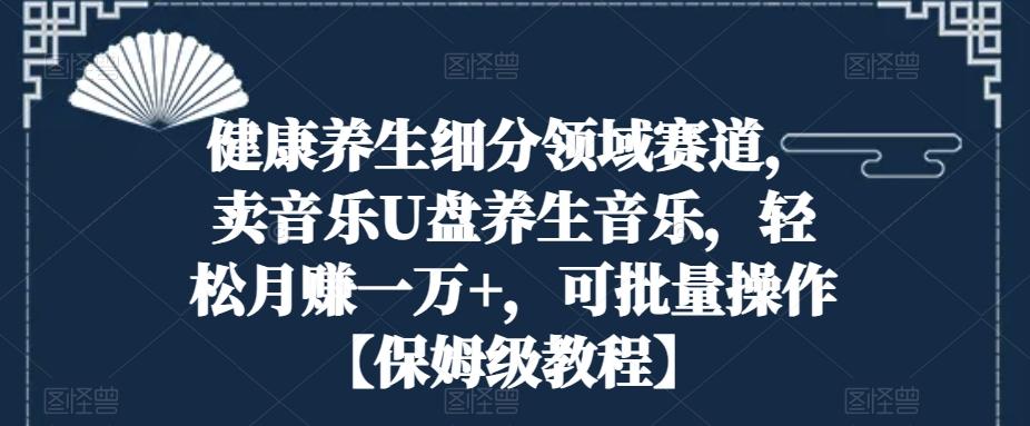 健康养生细分领域赛道，卖音乐U盘养生音乐，轻松月赚一万+，可批量操作【保姆级教程】-菜菜网创