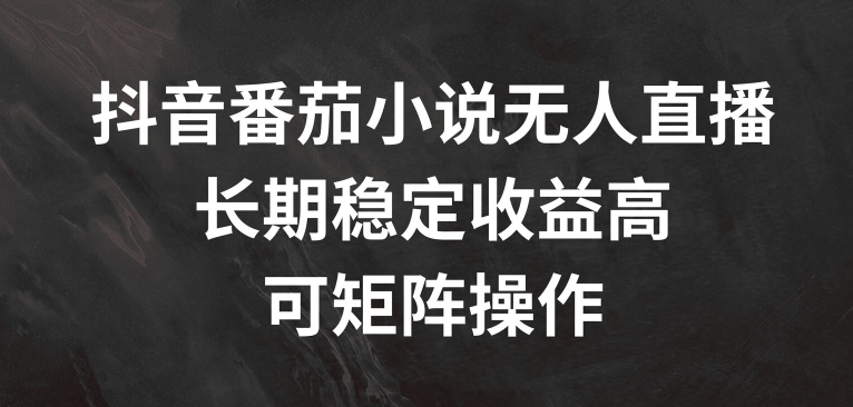 抖音番茄小说无人直播，长期稳定收益高，可矩阵操作【揭秘】-菜菜网创