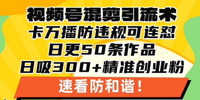 视频号混剪引流技术，500万播放引流17000创业粉，操作简单当天学会-菜菜网创