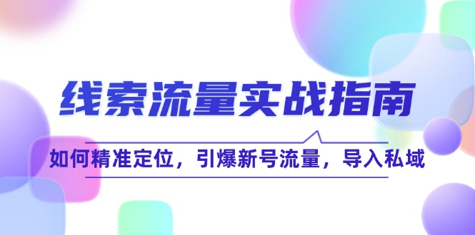 线 索 流 量-实战指南：如何精准定位，引爆新号流量，导入私域-菜菜网创