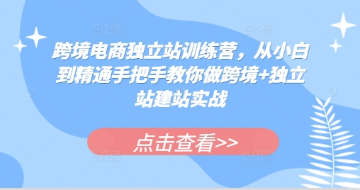 跨境电商独立站训练营，从小白到精通手把手教你做跨境+独立站建站实战-菜菜网创
