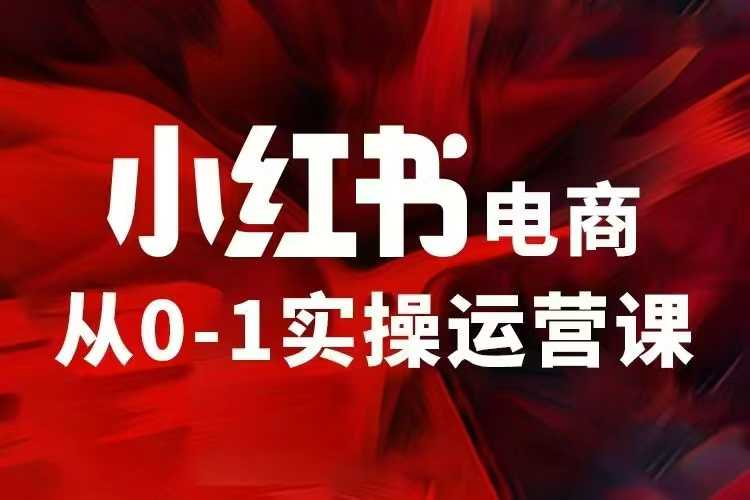 小红书电商运营，97节小红书vip内部课，带你实现小红书赚钱-菜菜网创