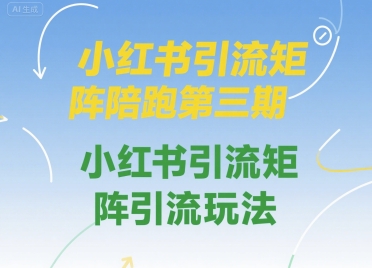 小红书引流矩阵陪跑第三期，小红书引流矩阵引流玩法-菜菜网创