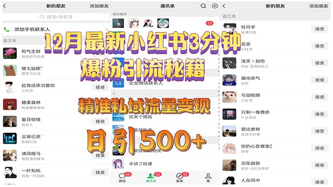 12月最新小红书3分钟爆粉引流秘籍 精准私域流量变现 日引500+-菜菜网创