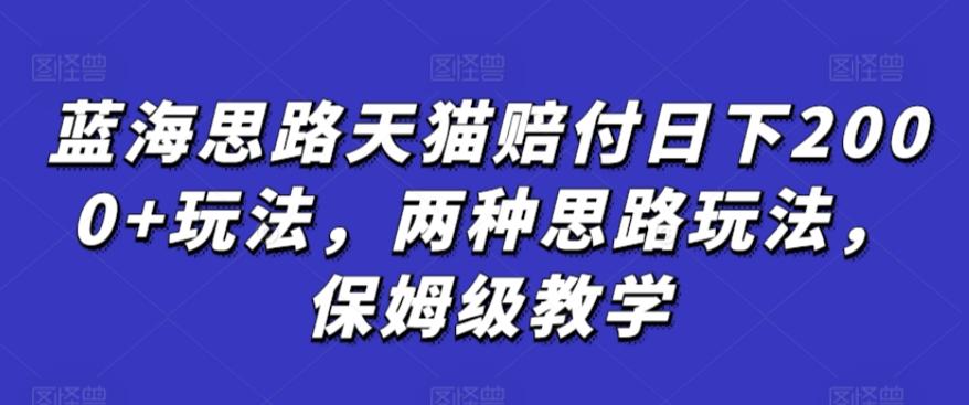蓝海思路天猫赔付日下2000+玩法，两种思路玩法，保姆级教学【仅揭秘】-菜菜网创