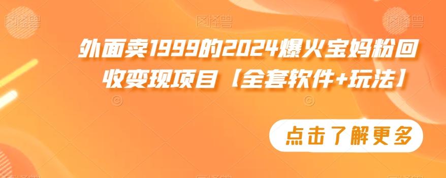 外面卖1999的2024爆火宝妈粉回收变现项目【全套软件+玩法】【揭秘】-菜菜网创