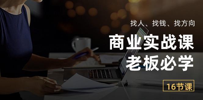 商业实战课【老板必学】：找人、找钱、找方向(16节课-菜菜网创