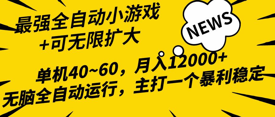 (10046期)2024最新全网独家小游戏全自动，单机40~60,稳定躺赚，小白都能月入过万-菜菜网创