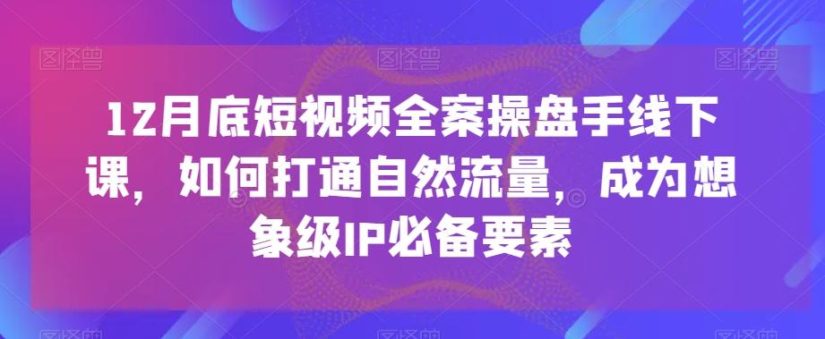12月底短视频全案操盘手线下课，如何打通自然流量，成为想象级IP必备要素-菜菜网创