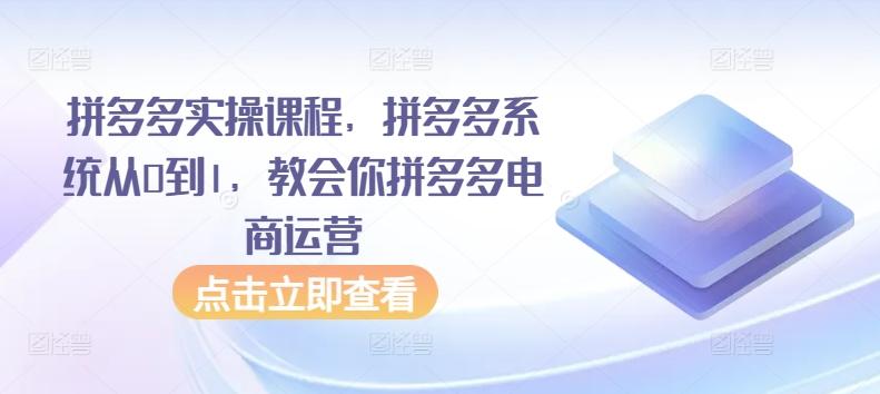 拼多多实操课程，拼多多系统从0到1，教会你拼多多电商运营-菜菜网创